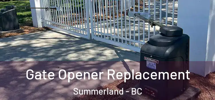 Gate Opener Replacement Summerland - BC