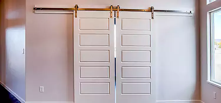 Glass Barn Door with Installation Hardware Kit Summerland