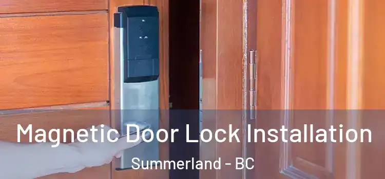  Magnetic Door Lock Installation Summerland - BC