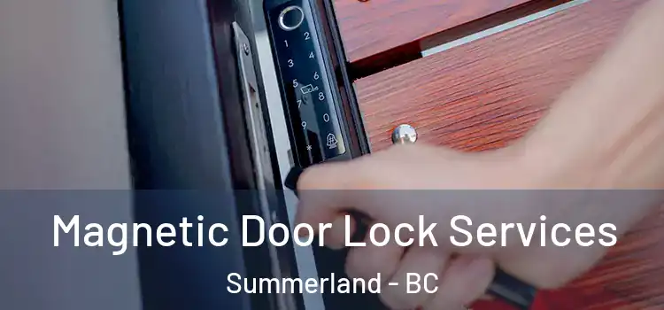  Magnetic Door Lock Services Summerland - BC